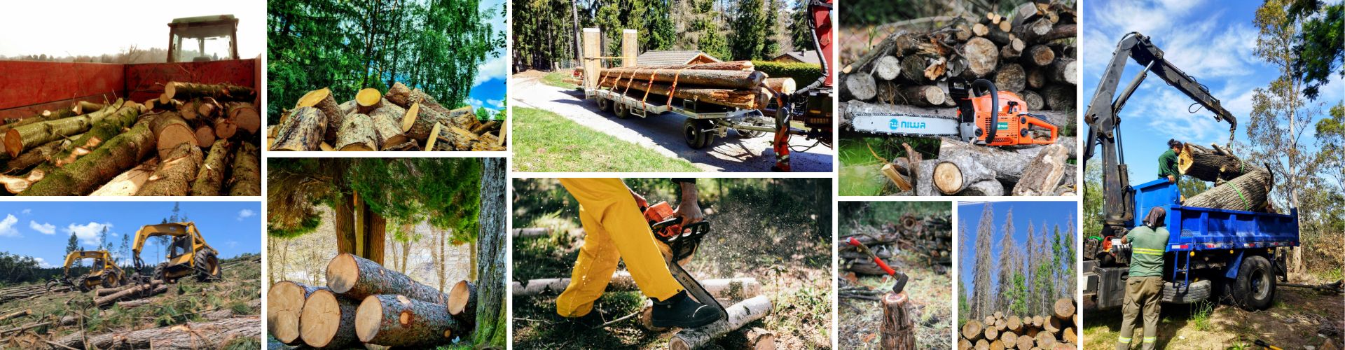 Travaux forestiers et Travaux spéciaux